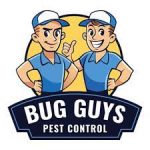 Search Box Optimization Customer Bug Guys Pest Control